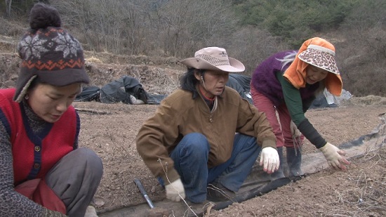 인간극장2.jpg