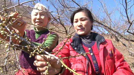 인간극장5.jpg